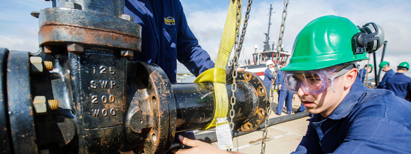 Minors & Concentrations