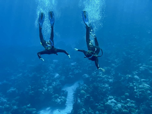 Students snorkeling Bermuda