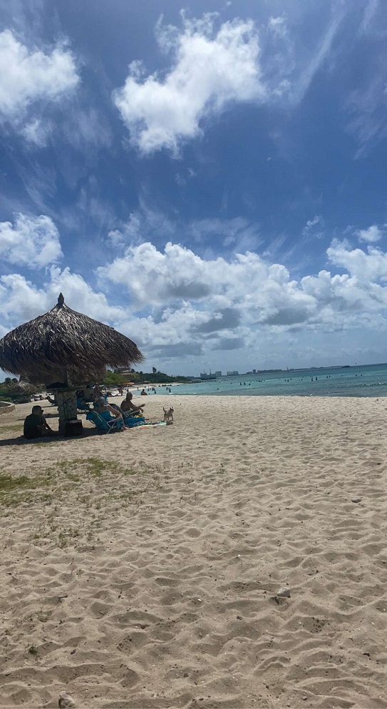 beach scene