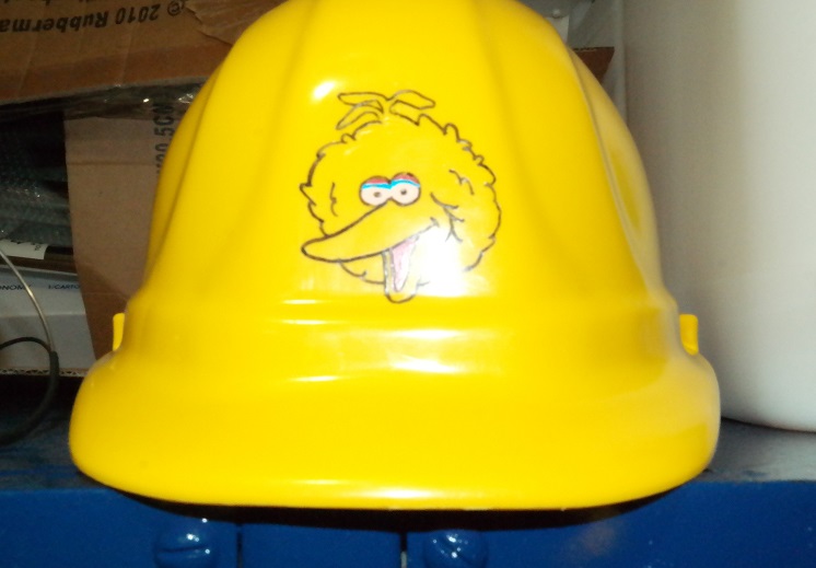 big bird on hardhat