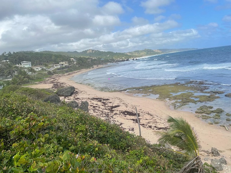 scenery beach