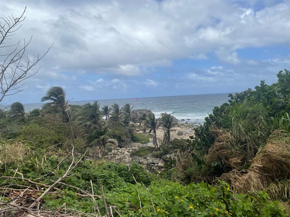 beach scene