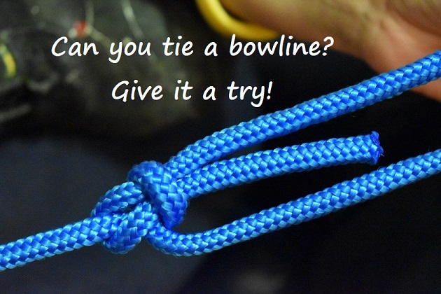 bowline knot