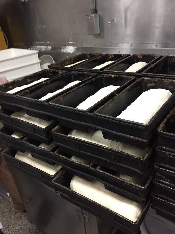 many pans of dough