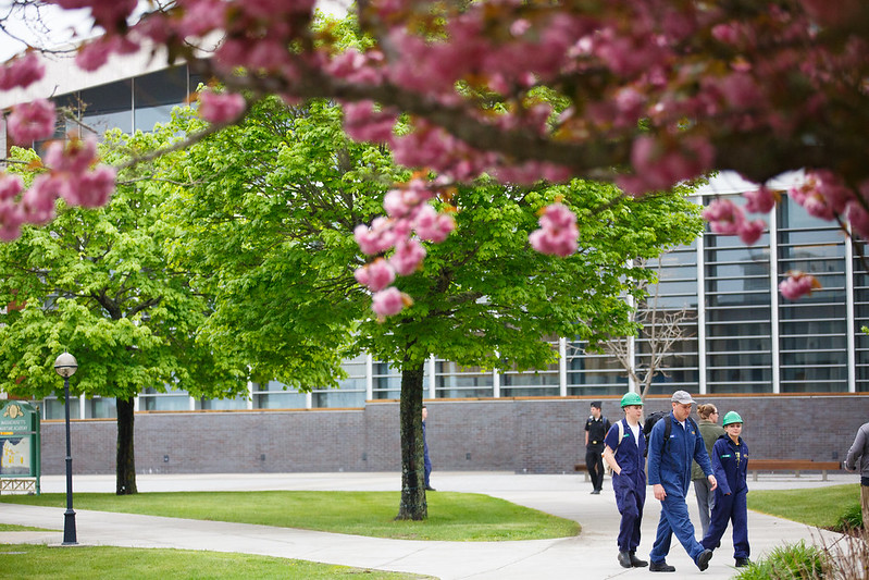 Brick plaza in spring