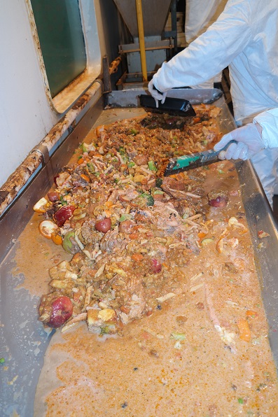 sorting food waste