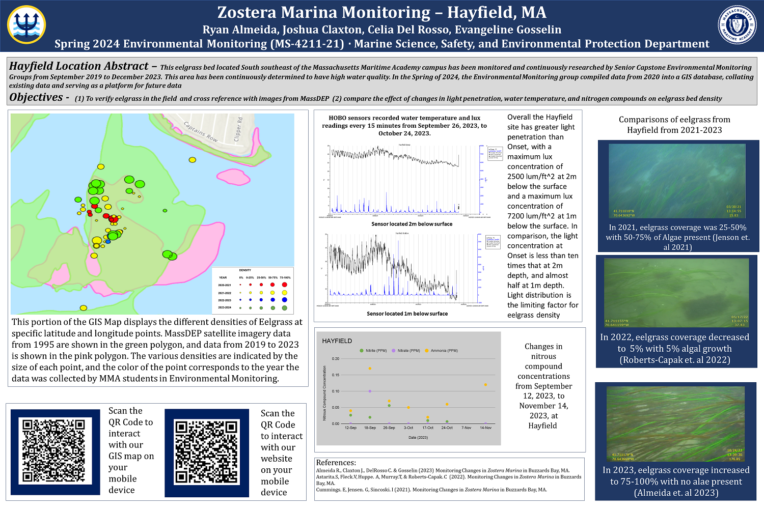 Heyfield Eelgrass