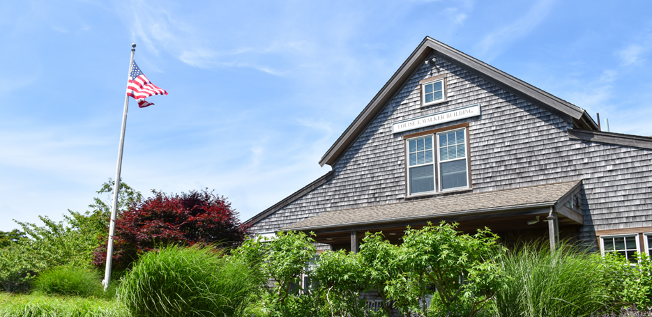 Nantucket New School