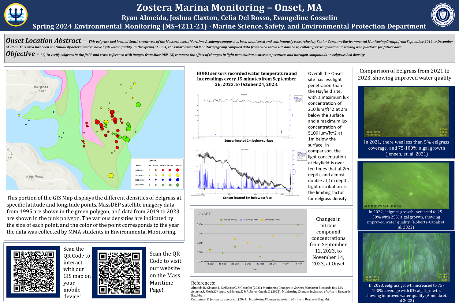 Onset Eelgrass Poster