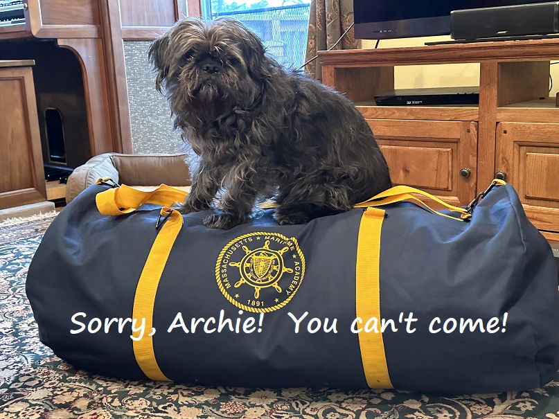 small dog on packed sea bag