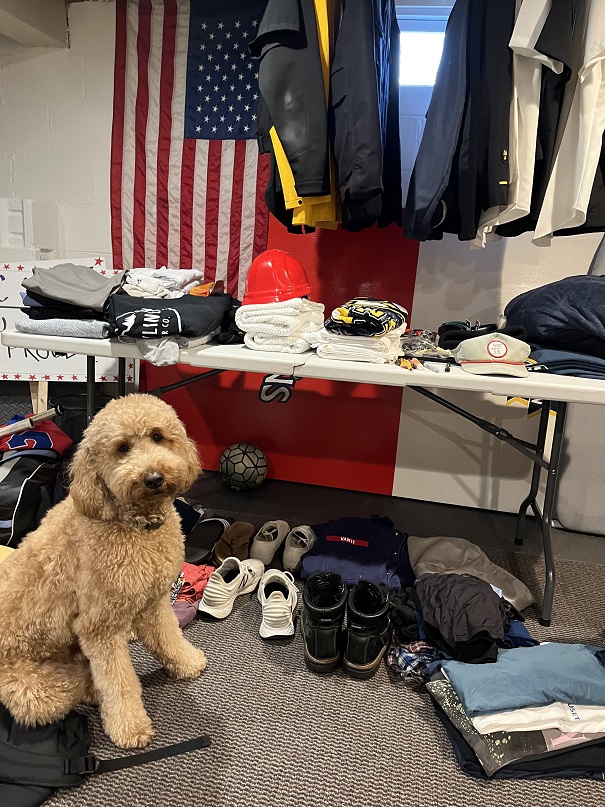 dog with piles of items to pack