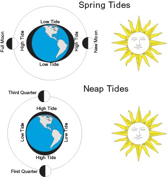 spring tide diagram