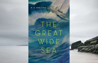 Book: The Great Wide Sea Book