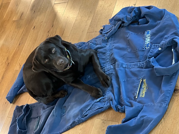 dog on boilersuit