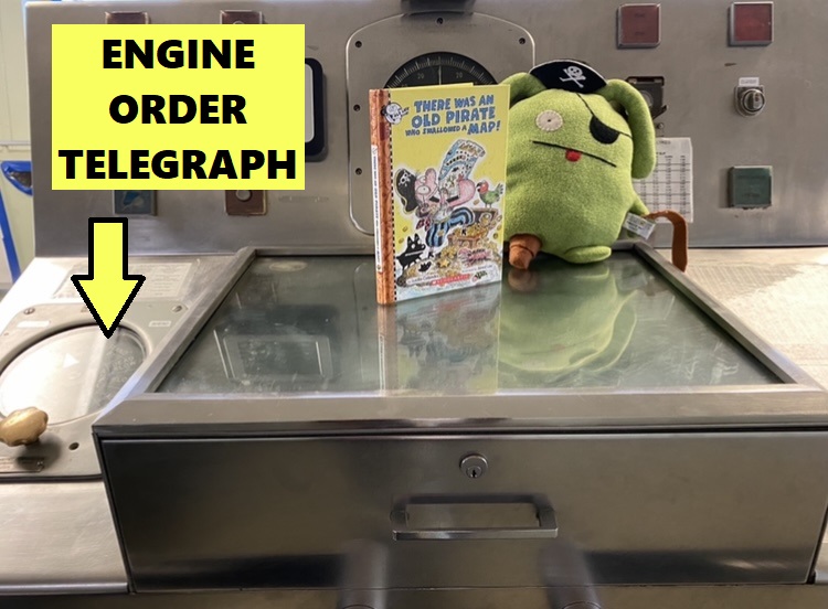 Little Buc reads book on Bridge