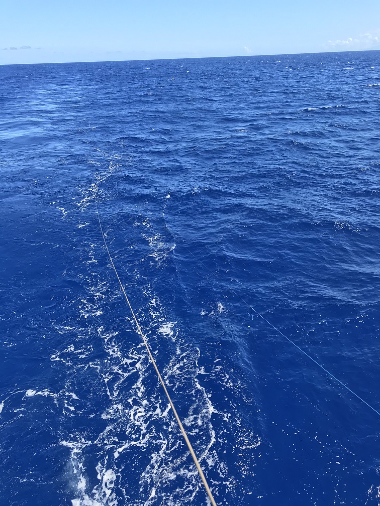 lines in the ocean