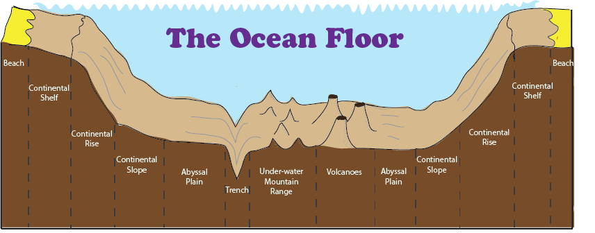 ocean floor