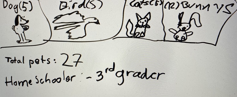 pet prediction whiteboard 27