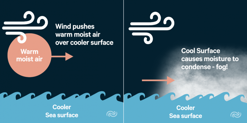 poster of how fog forms over the ocean