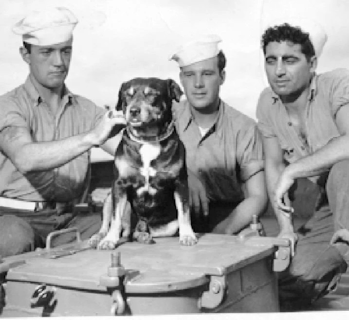 sinbad, coast guard dog, with sailors