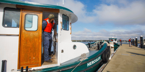 marine transportation cadet steering a small tug