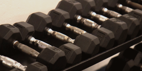 Dumbbells from the gym