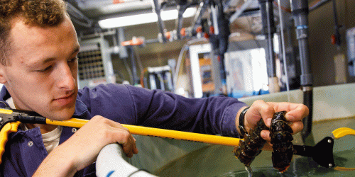 marine science safety and environmental protection student holding a fish